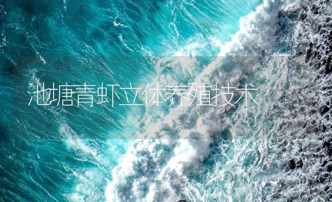 池塘青虾立体养殖技术 | 海水养殖技术