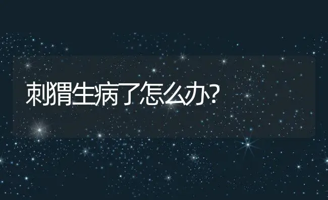 刺猬生病了怎么办？ | 动物养殖教程