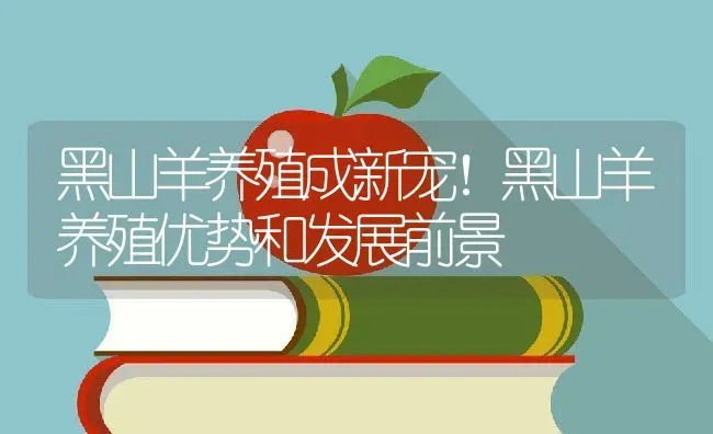 养兔有哪些禁忌？ | 动物养殖百科