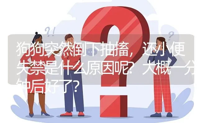 狗狗突然倒下抽搐，还小便失禁是什么原因呢?大概一分钟后好了？ | 动物养殖问答