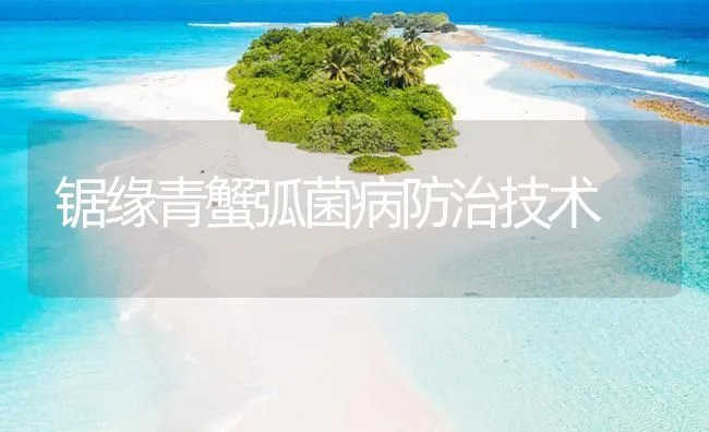 锯缘青蟹弧菌病防治技术 | 海水养殖技术