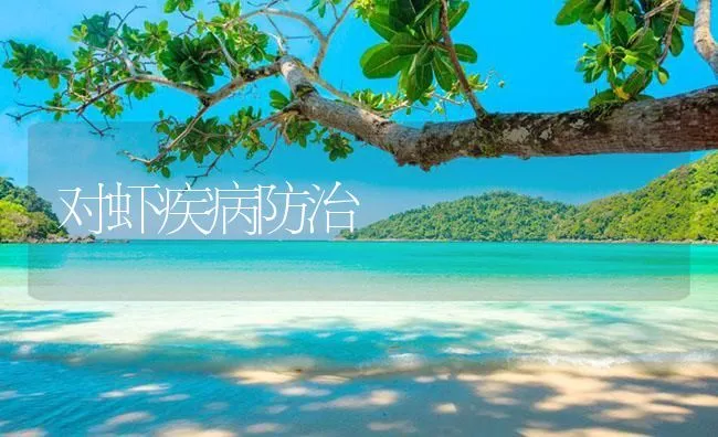 对虾疾病防治 | 海水养殖技术