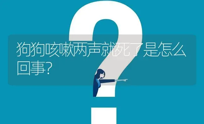 狗狗咳嗽两声就死了是怎么回事？ | 动物养殖问答