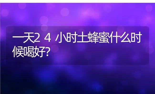 一天24小时土蜂蜜什么时候喝好？ | 动物养殖百科