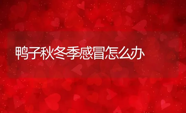 河蟹的生态养殖技术 | 海水养殖技术