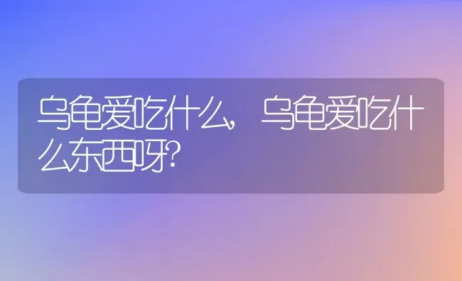 乌龟爱吃什么,乌龟爱吃什么东西呀? | 宠物百科知识