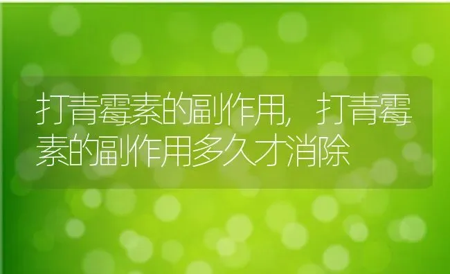 打青霉素的副作用,打青霉素的副作用多久才消除 | 宠物百科知识