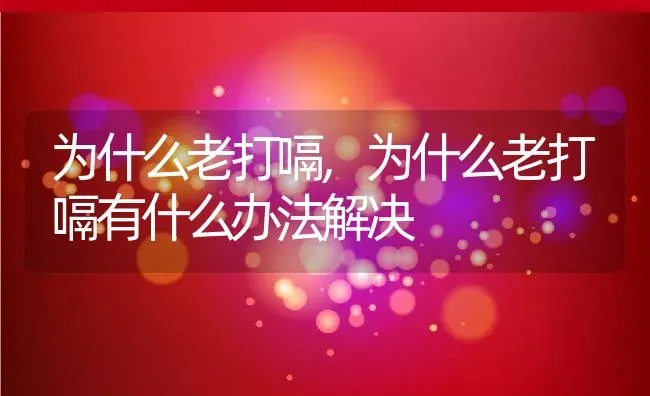 为什么老打嗝,为什么老打嗝有什么办法解决 | 宠物百科知识