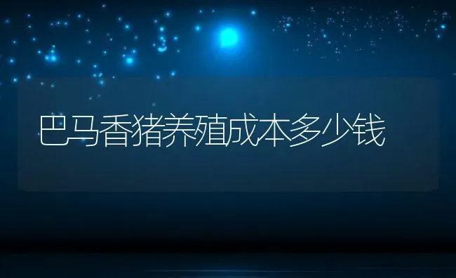 巴马香猪养殖成本多少钱 | 动物养殖百科