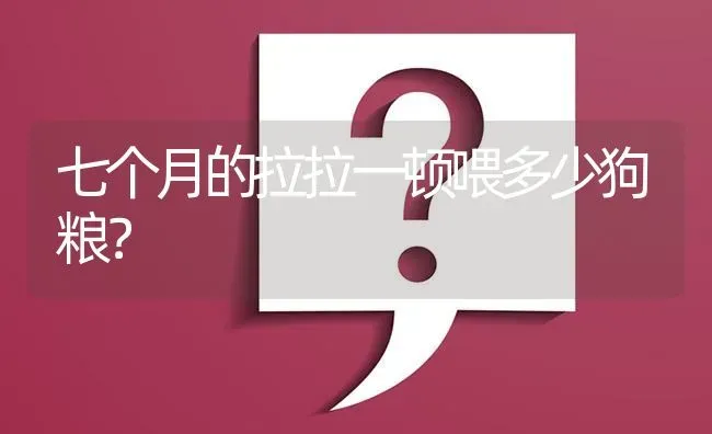 七个月的拉拉一顿喂多少狗粮？ | 动物养殖问答