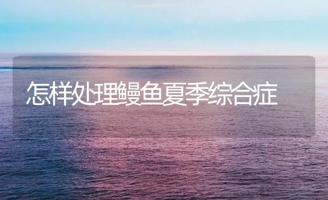 怎样处理鳗鱼夏季综合症 | 海水养殖技术