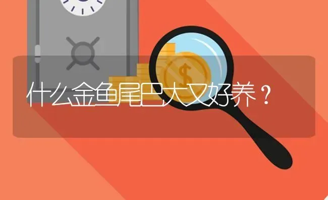 什么金鱼尾巴大又好养？ | 鱼类宠物饲养