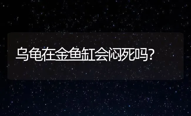 乌龟在金鱼缸会闷死吗？ | 鱼类宠物饲养