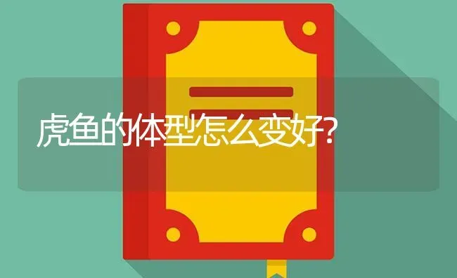 虎鱼的体型怎么变好？ | 鱼类宠物饲养