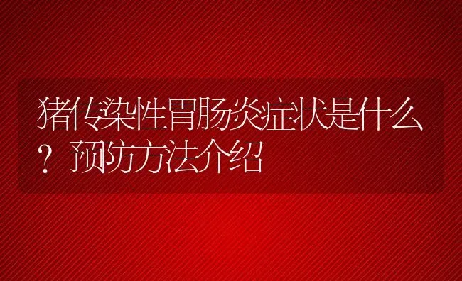 猪传染性胃肠炎症状是什么？预防方法介绍 | 动物养殖百科