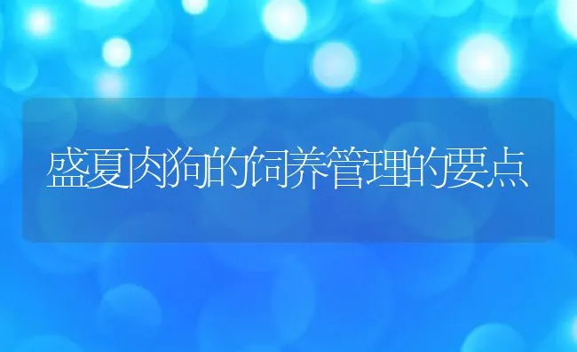 盛夏肉狗的饲养管理的要点 | 动物养殖饲料