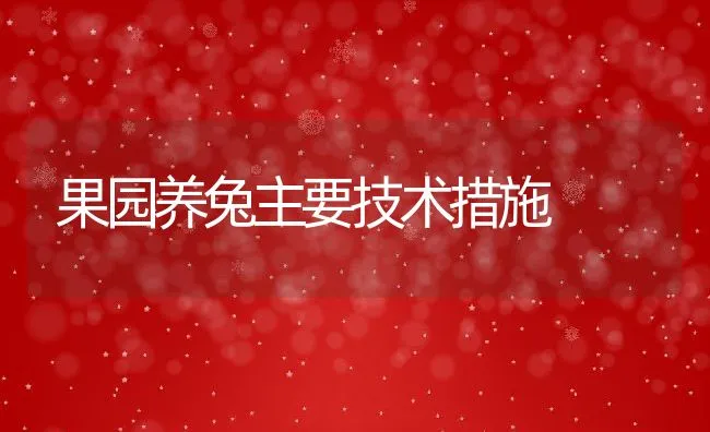 果园养兔主要技术措施 | 动物养殖饲料