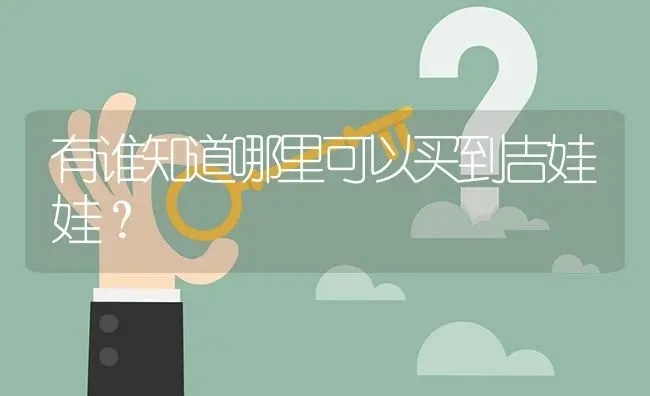 有谁知道哪里可以买到吉娃娃？ | 动物养殖问答