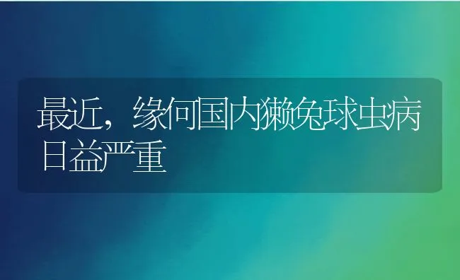 怎样进行公貉的精液品质检查？ | 动物养殖学堂