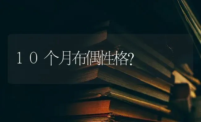 雪纳瑞哪个品种最好？ | 动物养殖问答