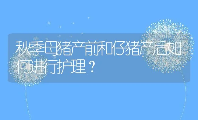 秋季母猪产前和仔猪产后如何进行护理？ | 动物养殖学堂