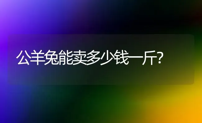 公羊兔能卖多少钱一斤？ | 动物养殖问答