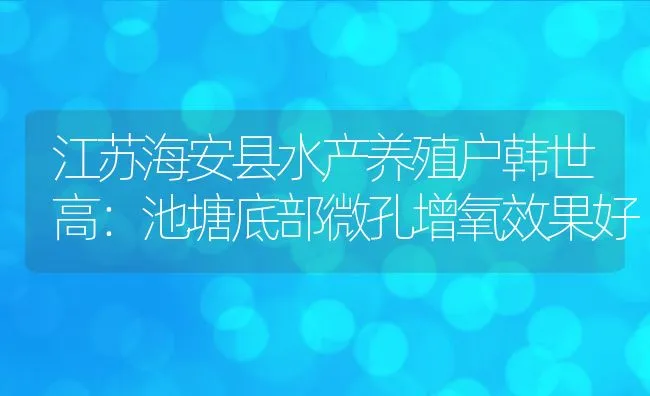 江苏海安县水产养殖户韩世高：池塘底部微孔增氧效果好 | 动物养殖饲料