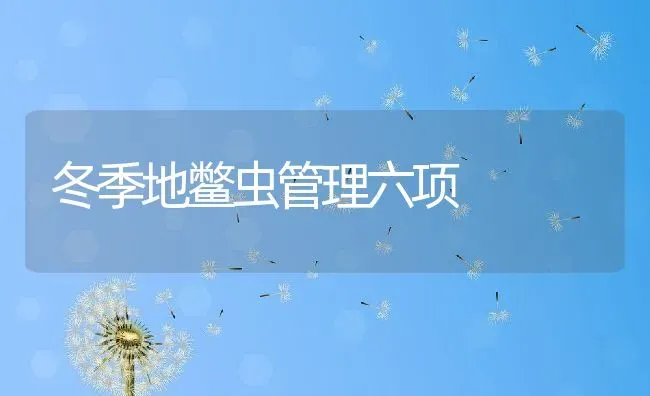 冬季地鳖虫管理六项 | 动物养殖百科