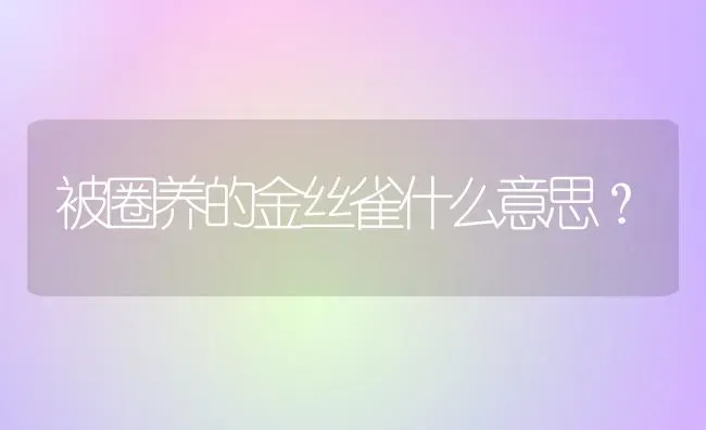 被圈养的金丝雀什么意思？ | 动物养殖问答