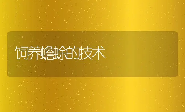饲养蟾蜍的技术 | 动物养殖学堂