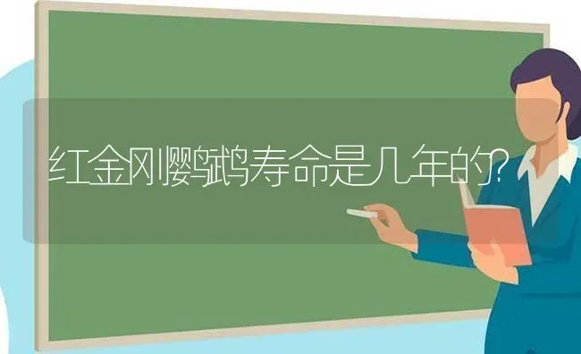 海底两万里中有价值的问题？ | 动物养殖问答