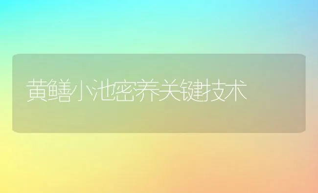 黄鳝小池密养关键技术 | 动物养殖饲料