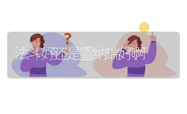 柯基两个月了还没立耳怎么办？ | 动物养殖问答