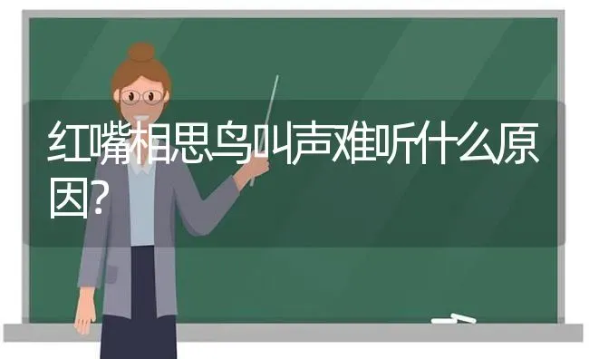 红嘴相思鸟叫声难听什么原因？ | 动物养殖问答