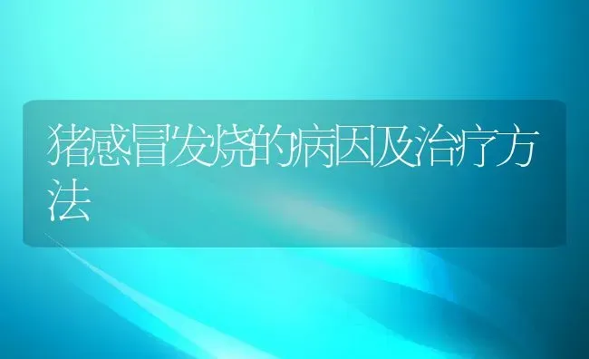 猪感冒发烧的病因及治疗方法 | 动物养殖教程