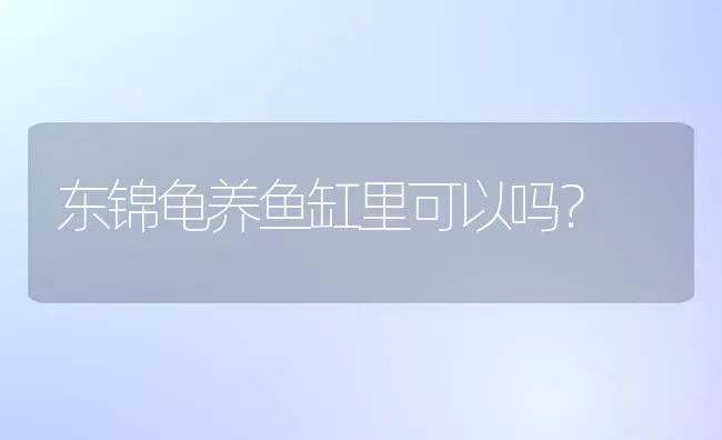 东锦龟养鱼缸里可以吗？ | 动物养殖问答