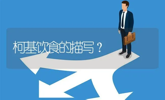 杰克罗素梗是哪个国家的？ | 动物养殖问答