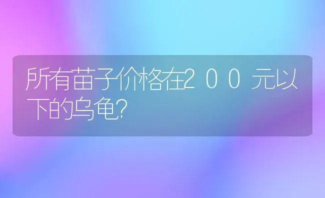 所有苗子价格在200元以下的乌龟？ | 动物养殖问答