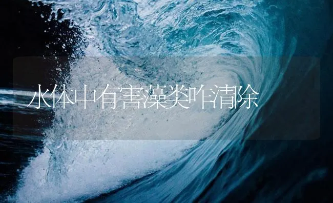 水体中有害藻类咋清除 | 海水养殖技术