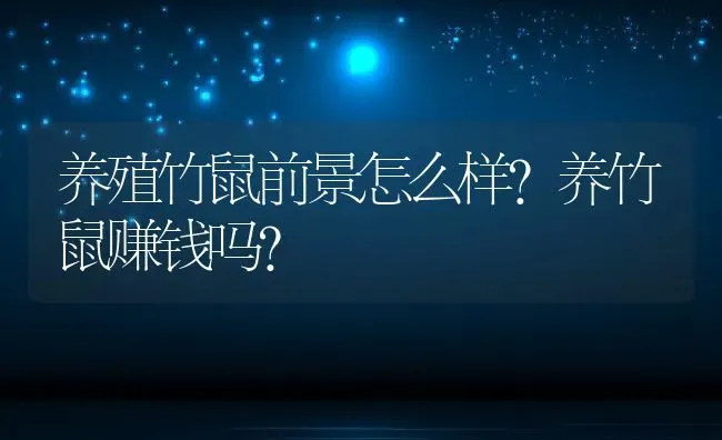 养殖竹鼠前景怎么样？养竹鼠赚钱吗？ | 动物养殖百科