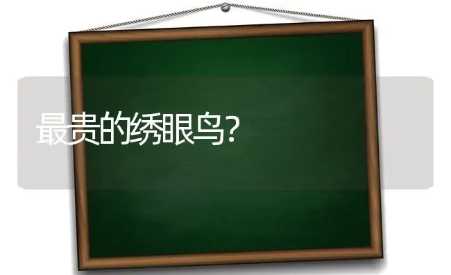 最贵的绣眼鸟？ | 动物养殖问答