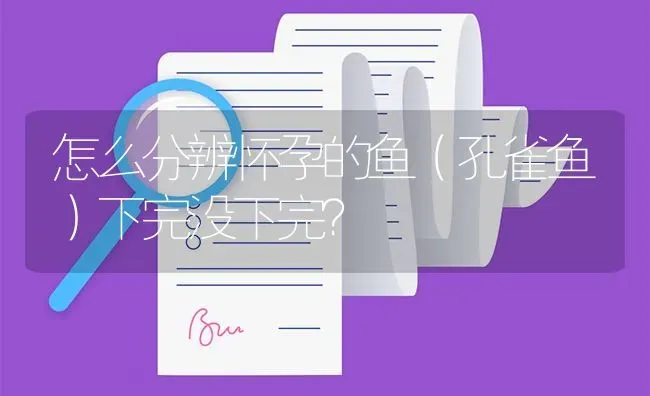 怎么分辨怀孕的鱼（孔雀鱼）下完没下完？ | 鱼类宠物饲养