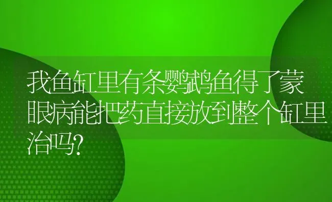 我鱼缸里有条鹦鹉鱼得了蒙眼病能把药直接放到整个缸里治吗？ | 鱼类宠物饲养