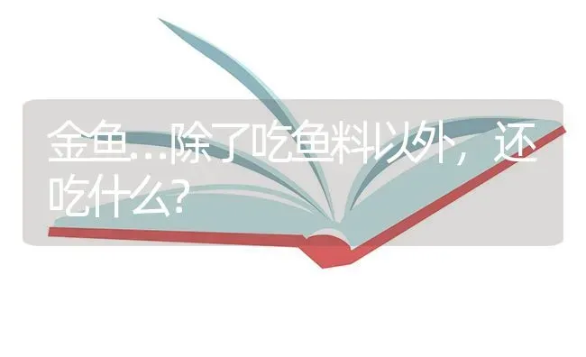 金鱼…除了吃鱼料以外，还吃什么？ | 鱼类宠物饲养