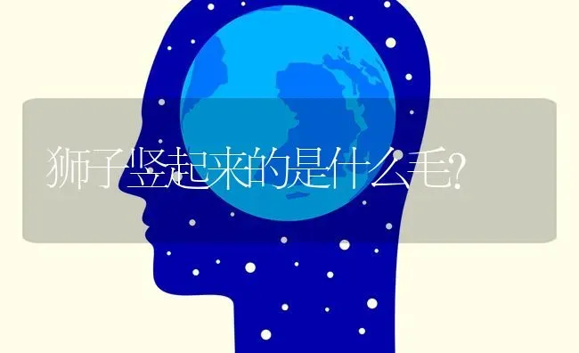 狮子竖起来的是什么毛？ | 动物养殖问答