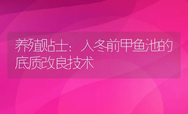 养殖贴士：入冬前甲鱼池的底质改良技术 | 水产养殖知识