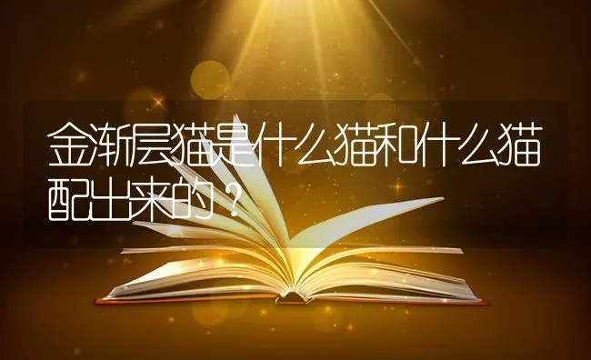 金渐层猫是什么猫和什么猫配出来的？ | 动物养殖问答