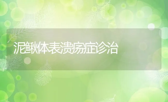 泥鳅体表溃疡症诊治 | 水产养殖知识