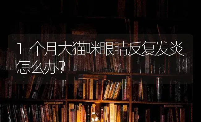 1个月大猫咪眼睛反复发炎怎么办？ | 动物养殖问答