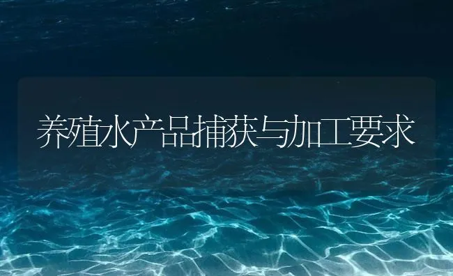 养殖水产品捕获与加工要求 | 海水养殖技术